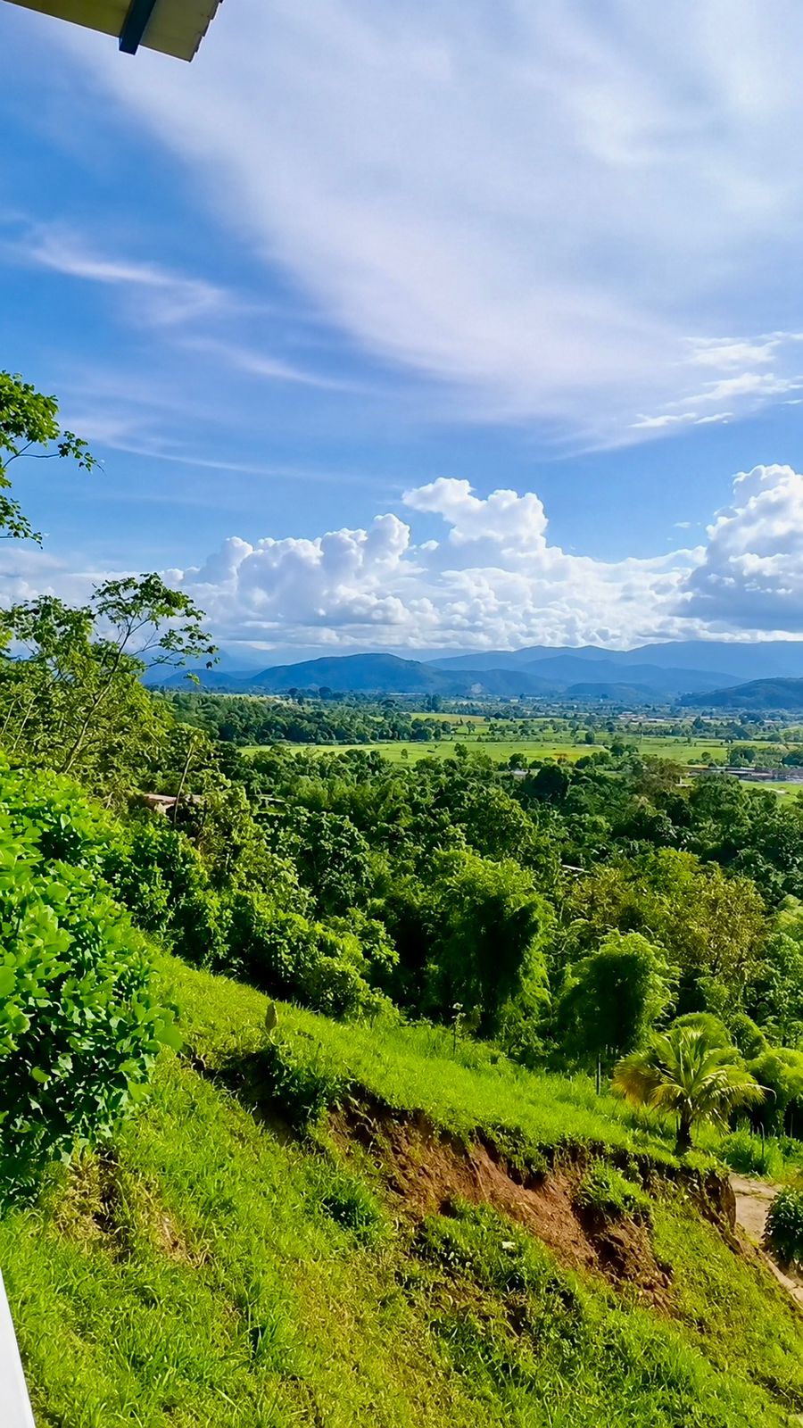 Mirador de Aucayacu